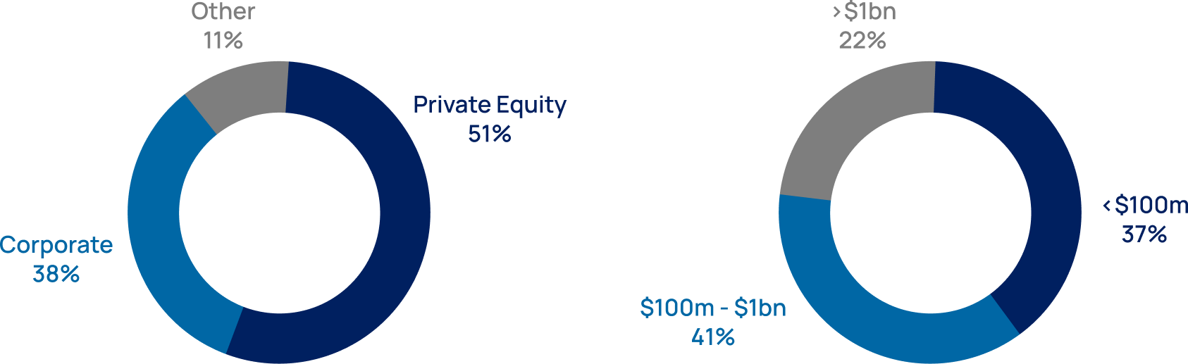 Client focus breakdown: 51% private equity, 38% corporate, 11% other; 22% over $1bn, 41% $100m–$1bn, 37% under $100m